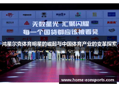 鸿星尔克体育明星的崛起与中国体育产业的变革探索